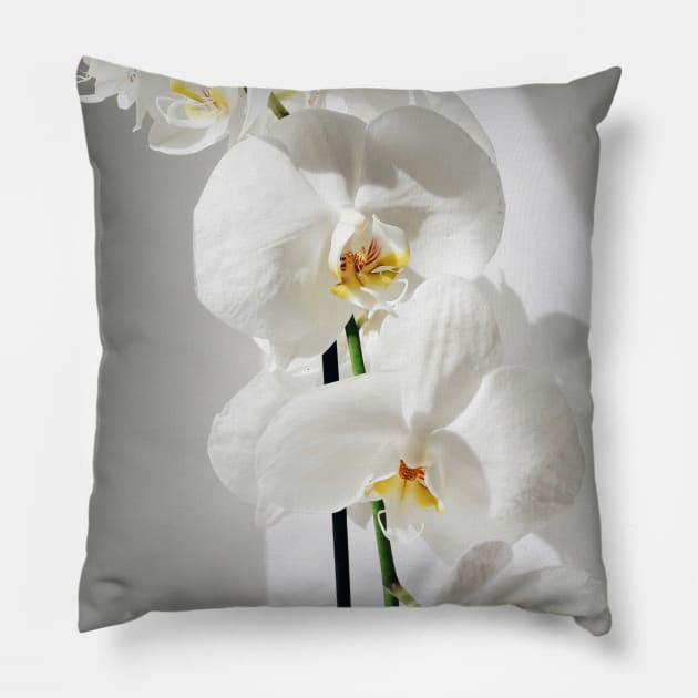 Elegant White Orchid Pillow by NewburyBoutique