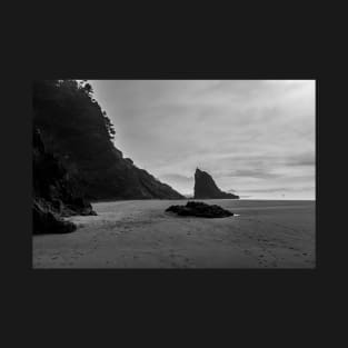 Portland Beach and Rocks T-Shirt