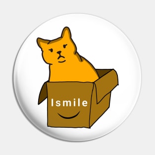 cat smiling Pin