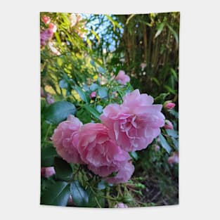 Mrs Ash Rose and Bamboo Tapestry