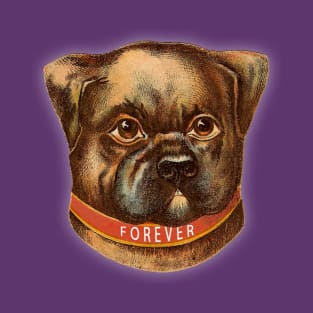 FOREVER DOG V3 T-Shirt