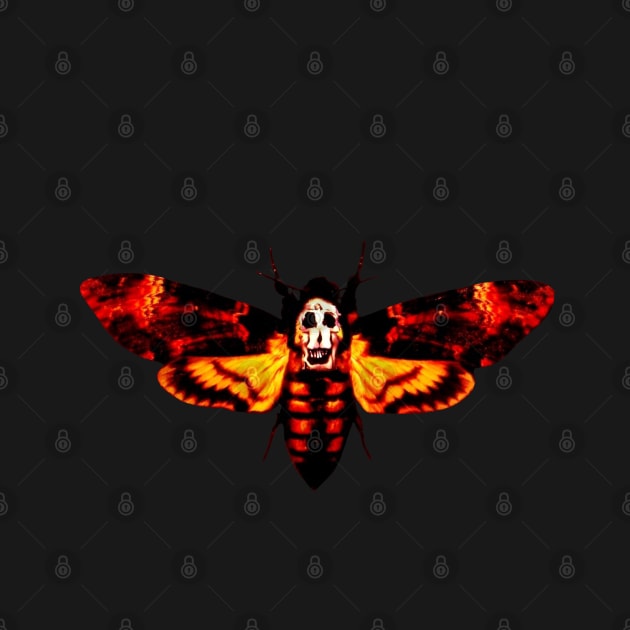 Death Head Moth by UntitledMike