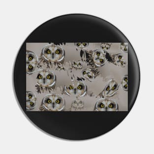 Eyes of the Owl Pin