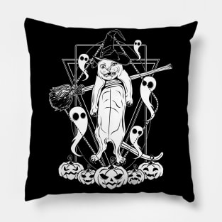 Frankie the Halloween cat Pillow