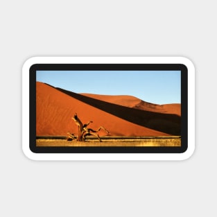 Dunes, Dead Tree & Dry Tsauchab River Valley, Namibia Magnet