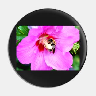 Bumble Bee Pollinating Pink Flower Pin