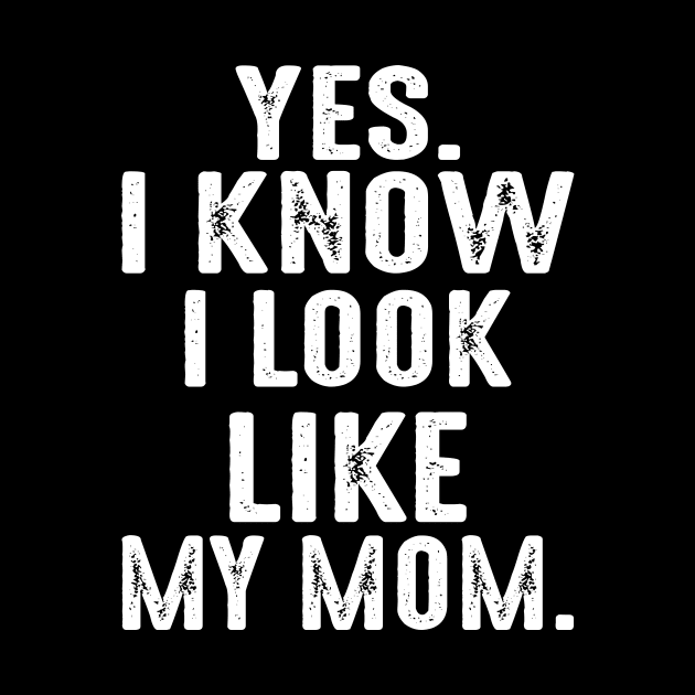 Yes I Know I Look Like My Mom by Jenna Lyannion