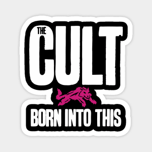 The Cult Band - Born Into This Magnet