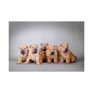 Chinese Shar pei puppies portrait T-Shirt