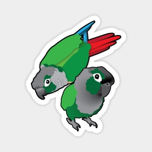 Green Cheek Conure Pair of Parrots Magnet