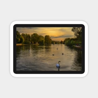 Thames Sunset At Marlow Buckinghamshire Magnet