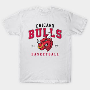 Chicago Bulls NBA Basketball Punisher Skull Mess With My Team They'll Never  Find Your Body T Shirt