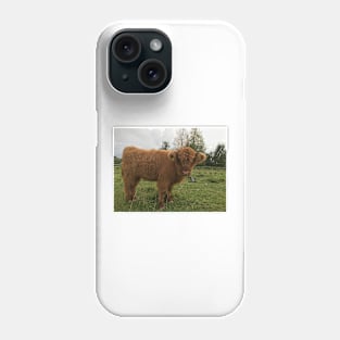 Scottish Highland Cattle Calf 1540 Phone Case