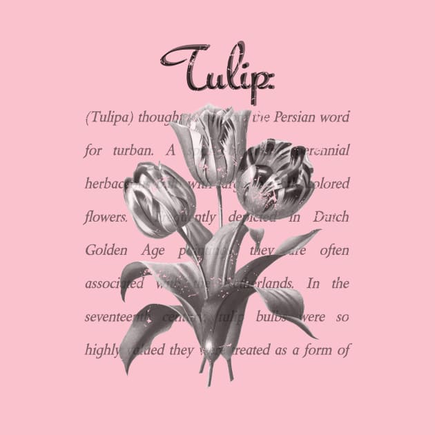 Lispe Tulip Definition by Lispe