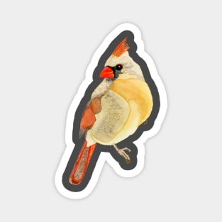 FEMALE CARDINAL - Yellow, Red, & Orange Watercolor Design Magnet