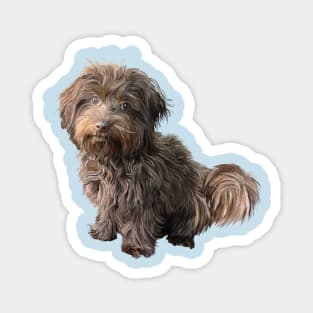 Cute Havanese Dog Magnet