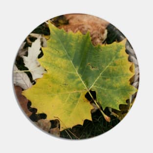 Fallen Leaf Pin