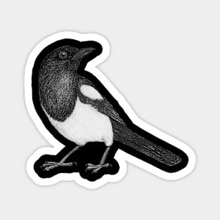 Magpie Magnet