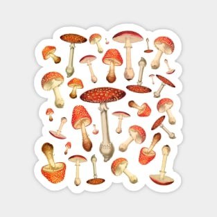 Fly Agaric Mushrooms, Magnet