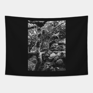 Magic Forest in Black and White Tapestry