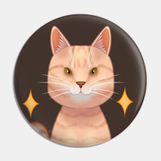 European tabby orange cat Pin
