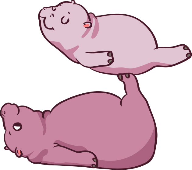 Acroyoga Baby Hippo Kids T-Shirt by huebucket