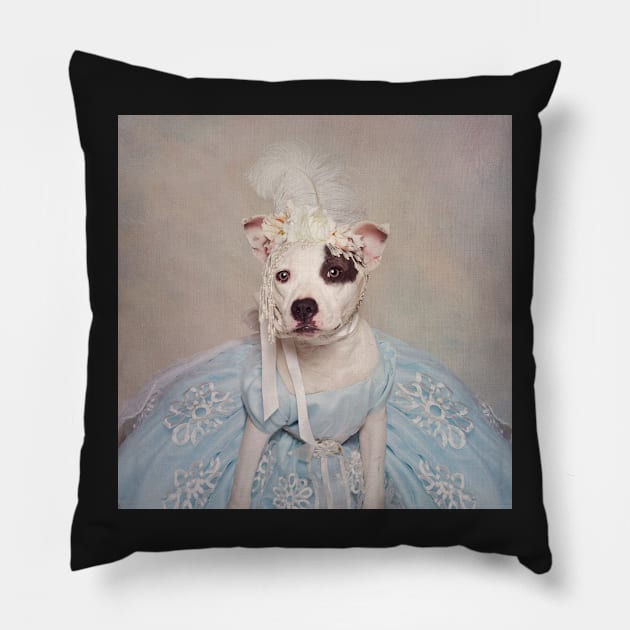 Shelter Pets Project - Rascal 2 Pillow by TammySwarek