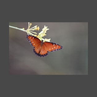 Queen Butterfly on Desert Milkweed T-Shirt