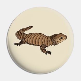 Armadillo girdled lizard cartoon illustration Pin