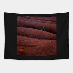 Red landscape Tapestry