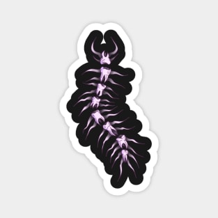 Toothy Centipede Magnet