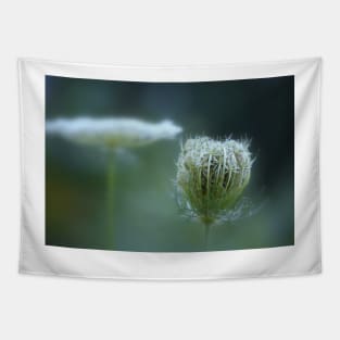 Stages ~ flower & seedpod Tapestry