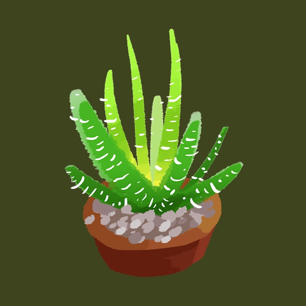 A succulent idea by CommanderBoxers