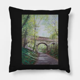 Walk on the Nutbrook nature trail Pillow