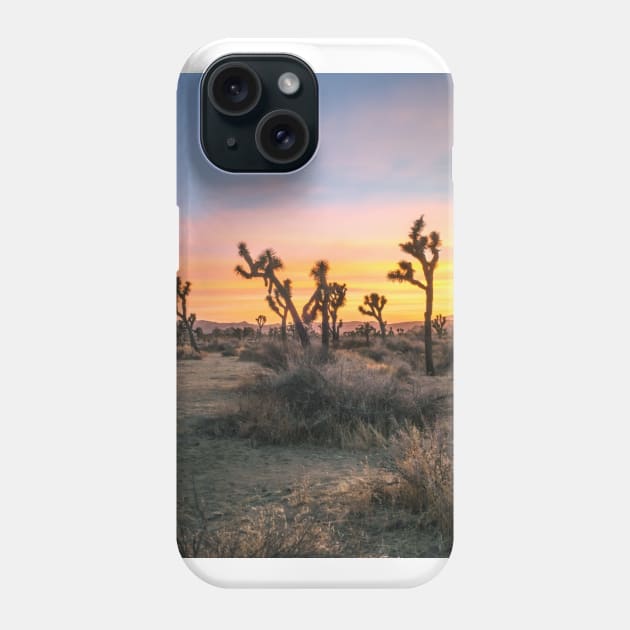 Joshua Tree National Park Phone Case by igjustin