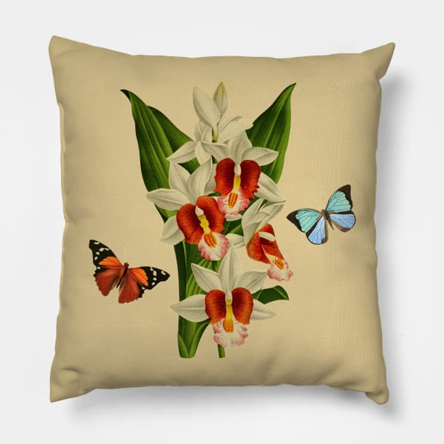 Watercolor of colorful orchid flower and butterflies - vintage flowers Pillow by Rubi16