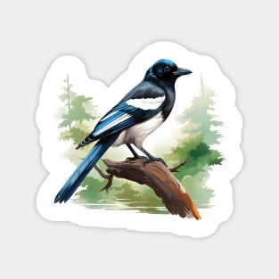 Magpie Magnet