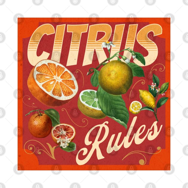 Citrus Vintage retro poster by SpaceWiz95