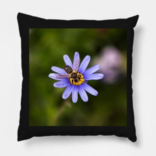 Aster & Hoverfly Pillow