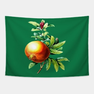 Pomegranate Autumn Botanical Vector Art Tapestry