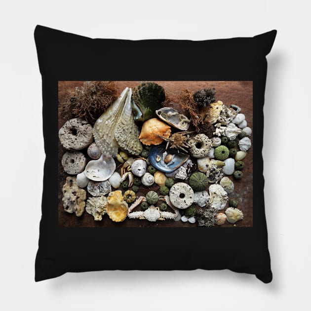 De Profundum Pillow by aeolia