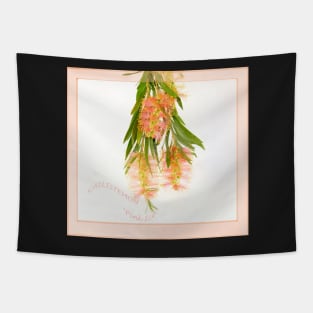 'Peaches and Cream' Tapestry