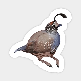 Cozy Quail Magnet