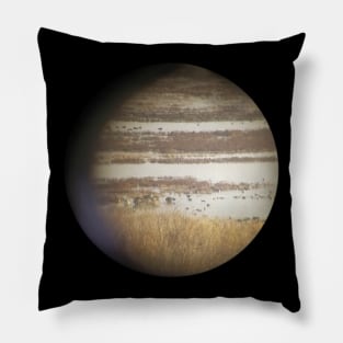 Jupiter Ducks Pillow