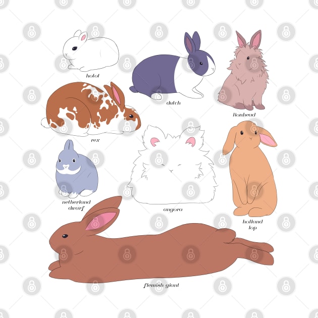 beginner's guide to bunnies by lalalychee