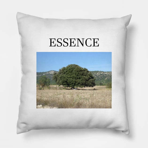 ESSENCE Pillow by jcnenm