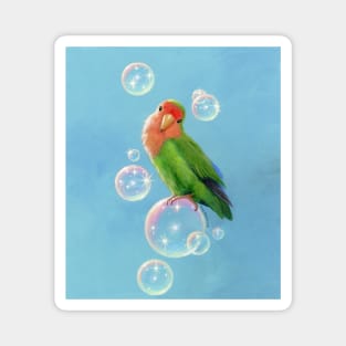 Bubbles, the Peach Faced Lovebird on Bubbles Magnet