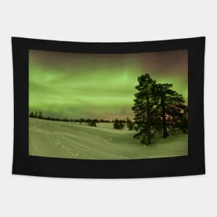 The Solar Storm and the Radioactive Snow Tapestry