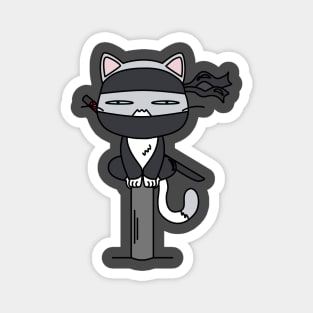 Ninja Cat Magnet