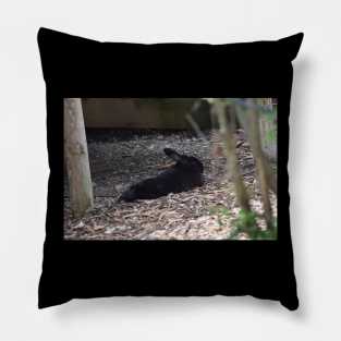 Black Rabbit Pillow